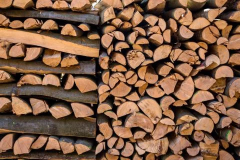 Vice-cut tree trunks Foto stock