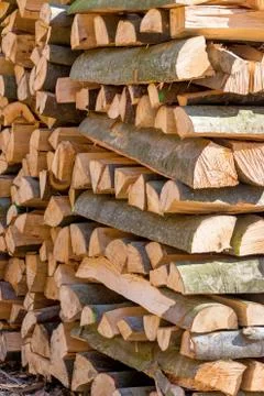 Vice-cut tree trunks 스톡 사진