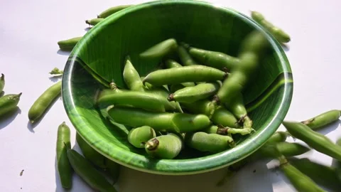 Vicia faba vegetable. 動画素材 264759954