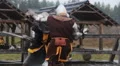 Vicious sword fight between two medieval warriors, martial arts competition HD Footage