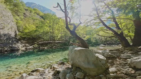Vicos ravine river FPV flight greece Stock Footage 237510402