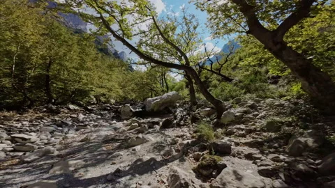 Vicos ravine river FPV flight greece Stock Footage 237510900