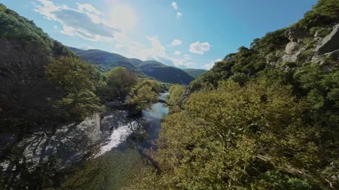 Vicos ravine river FPV flight greece Stock Footage 237514975