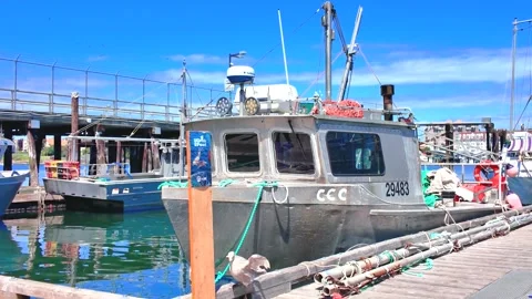 Victoria, BC, Canada – April 22, 2026: Fishing boat at Fisherman's Wharf Stock Footage 333289953