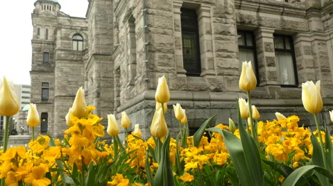 Victoria Canada historical district Stock Footage 62814849