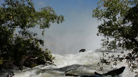 Victoria falls Stock Footage 39900942