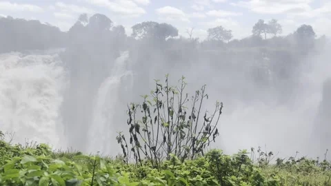 Victoria falls Stock Footage 334572157
