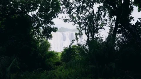 Victoria Falls glimpsed between rainforest trees Video stock 345521115