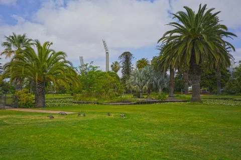 Victoria gardens park in Perth, Wesyern Australia Stock Photos