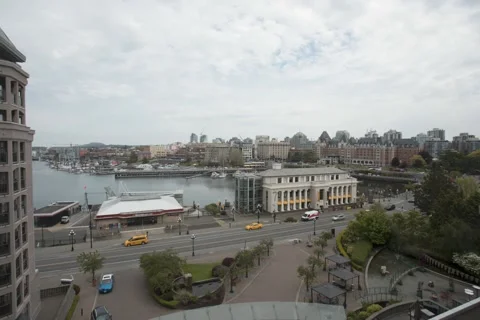 Victoria Harbor Video stock 219908795