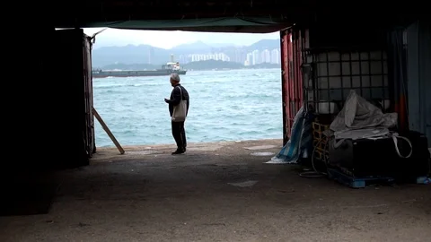 Victoria Harbour Video stock 109071233