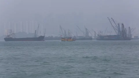 Victoria Harbour Video stock 203771162