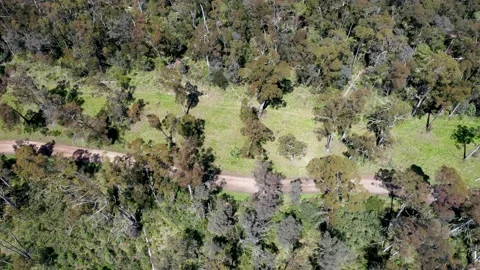 Victoria Terrain Stock Footage 169201502