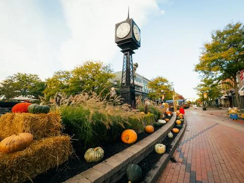 Victorian Clock at Fall time Stock Photos