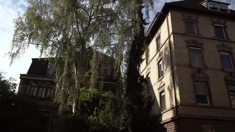 Victorian era House Facade with tree Stock Footage 100107387