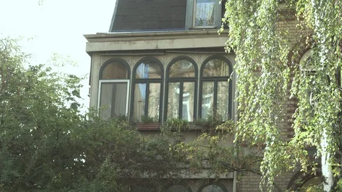 Victorian era Villa windows in idyll with tree Video stock 100102791