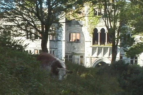 Victorian Ruins (close) 스톡 동영상 362404