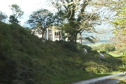 Victorian Ruins (long) Stock Footage 362397