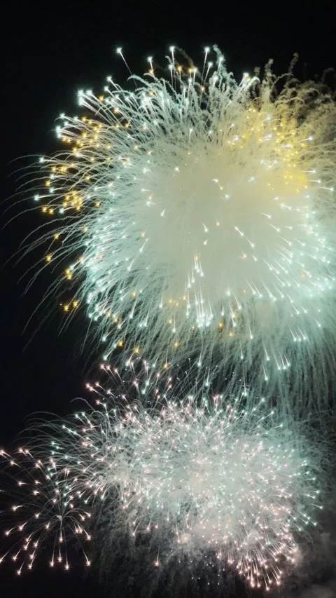 Victory Day Fireworks Stock Footage 308757159