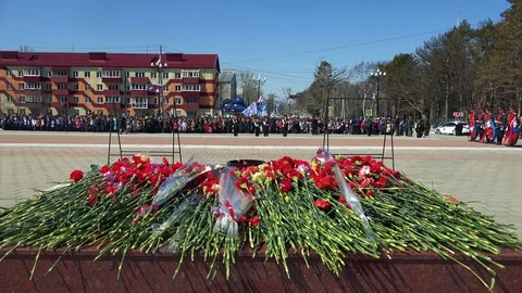 Victory Day May 9, 2016 Video stock 74263431