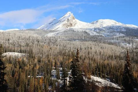 Victory Forest Peak Stock Photos