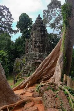Victory Gate Stone Face Tower Framed by Banyan Tree Roots at Angkor Thom Stock Photos