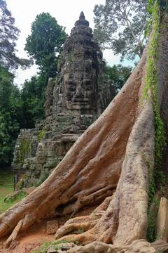 Victory Gate Stone Face Tower Framed by Banyan Tree Roots at Angkor Thom Stock Photos
