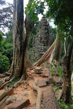 Victory Gate Stone Face Tower Framed by Banyan Tree Roots at Angkor Thom Stock Photos