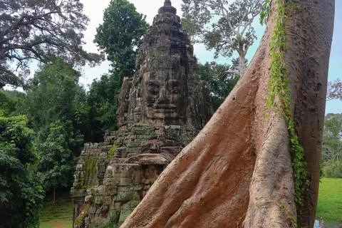 Victory Gate Stone Face Tower Framed by Banyan Tree Roots at Angkor Thom Stock Photos