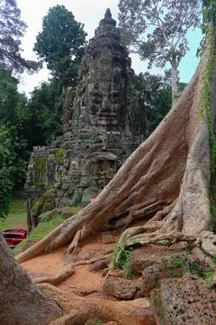 Victory Gate Stone Face Tower Framed by Banyan Tree Roots at Angkor Thom Stock Photos