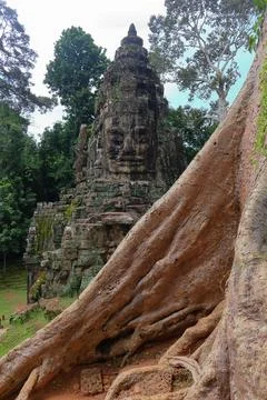 Victory Gate Stone Face Tower Framed by Banyan Tree Roots at Angkor Thom Stock Photos