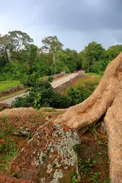 Victory Gate Stone Face Tower Framed by Banyan Tree Roots at Angkor Thom Stock Photos