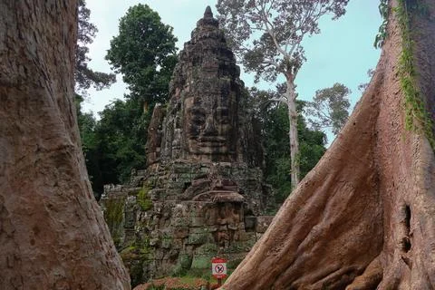 Victory Gate Stone Face Tower Framed by Banyan Tree Roots at Angkor Thom Stock Photos
