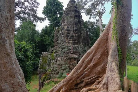 Victory Gate Stone Face Tower Framed by Banyan Tree Roots at Angkor Thom Stock Photos
