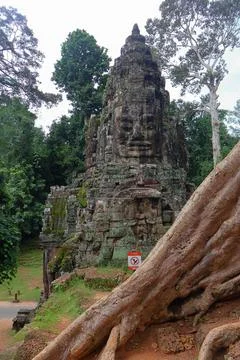 Victory Gate Stone Face Tower Framed by Banyan Tree Roots at Angkor Thom Stock Photos