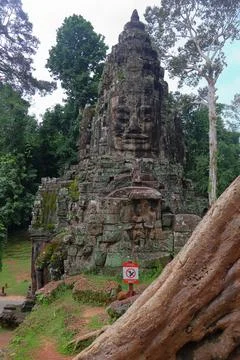 Victory Gate Stone Face Tower Framed by Banyan Tree Roots at Angkor Thom Stock Photos