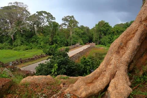 Victory Gate Stone Face Tower Framed by Banyan Tree Roots at Angkor Thom Stock Photos