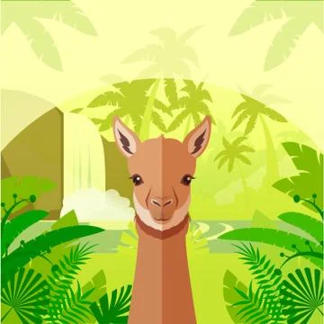 Vicuna on the Jungle Background Stock Illustration