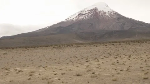 Vicunas crossing the vast paramo landscape dominated by the imposing Chimbor Stock Footage 339347281