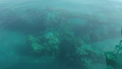 VID 20181111 141624 eilat red sea Stock Footage 101294557