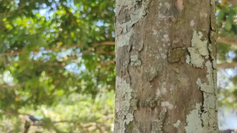 VID 20220220151145 Stock Footage 170642792