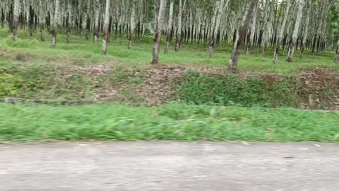 VID 20260128 112052 Stock-Footage 328651132