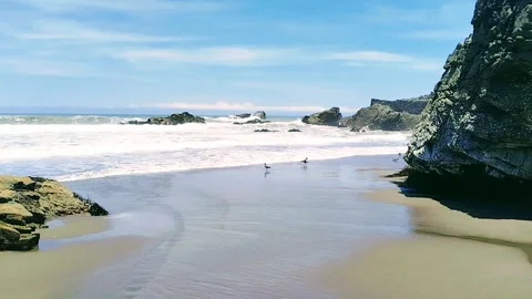 VID 20260226 121109~5 Stock-Footage 339037879