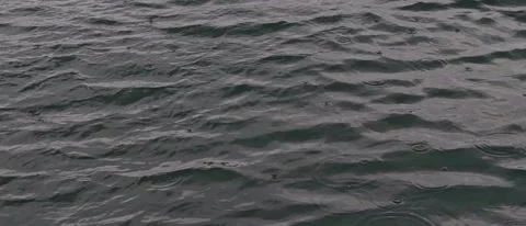 VID 20260427 104720 Video stock 336236487