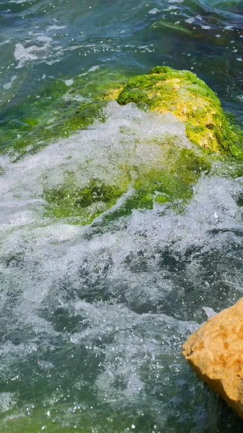 VID 20260612 131658 Stock Footage 336795211