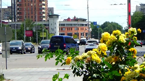 вид 5 Video stock 167016307