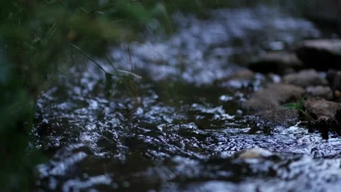 VID - Gently Babbling Stream Stock Footage 167498044