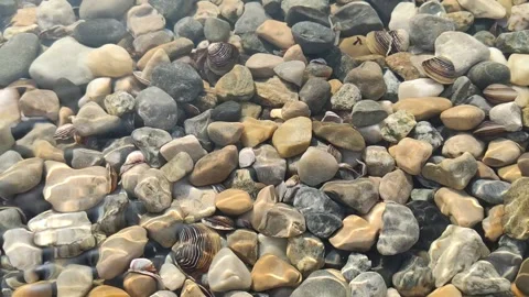 VID stones on the beach Stock Footage 300192228