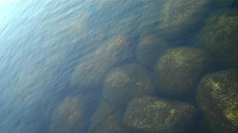 VID00181 Stock Footage 606811