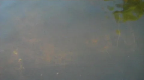 VID00197 Stock Footage 606782